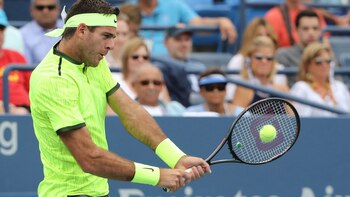 Juan Martín del Potro ganó