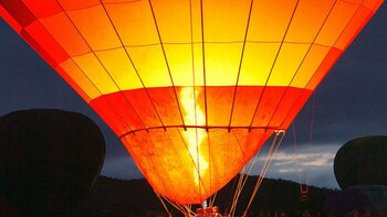 Los asistentes pueden hacer picnics,