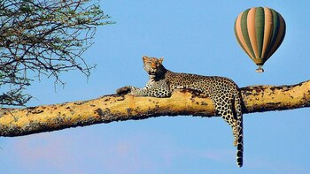 Las vistas a la naturaleza