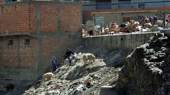 (Sebastián Granda – Diego Granda)