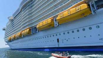 Harmony of the Seas (AFP)