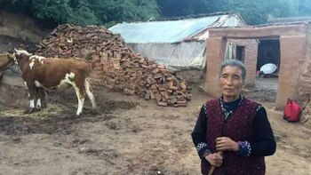 La madre de Yang Gailan