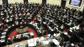 La despenalización de la marihuana medicinal deberá ser tratada primero en un plenario de comisiones. (Télam)