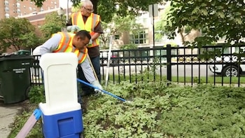 Una imagen que se repite