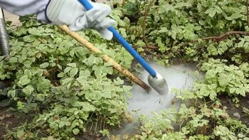 El hielo seco se coloca