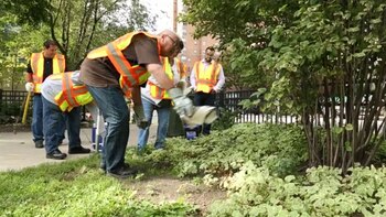 En Chicago trabajan con el