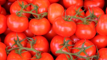 El Departamento de Comercio informó