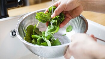 Las hojas verdes como la