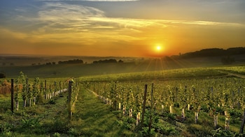 Buenos Aires se presenta como