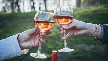 Los mejores exponentes tienen aromas