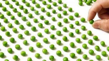 El perfeccionismo es un factor