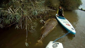 Kevin en su canoa, observando
