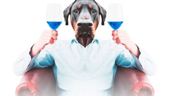 El sabor es similar al