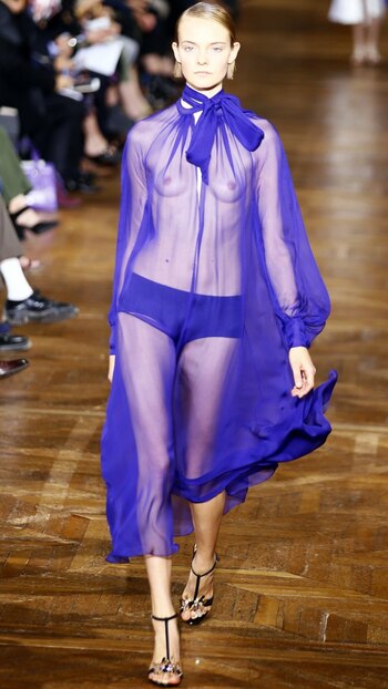 Las transparencias y la gasa