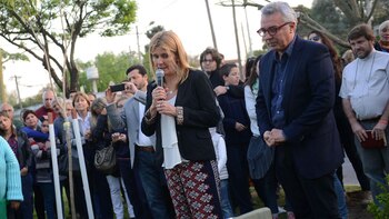 (Municipio de Tigre)