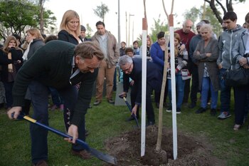 (Municipio de Tigre)