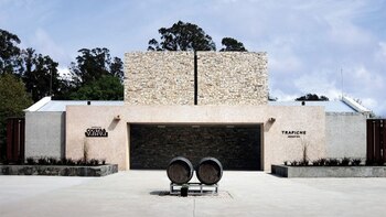 La bodega Trapiche Costa &