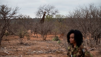 El equipo inició sus tareas