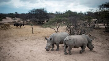 La unidad está integrada por