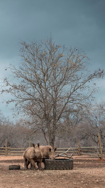 Sudáfrica es uno de los