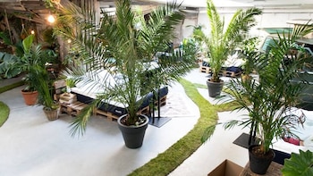 El bar cuenta con muchas