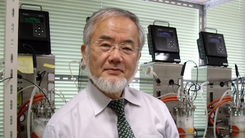 El Nobel de Medicina 2016