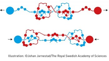 Sauvage consiguió unir dos cadenas