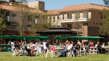 Las ferias de Pueblo Caamaño