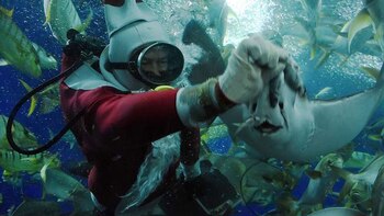 Philip Chan en acción. Era