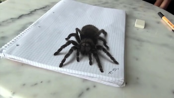 Imagen ULOHUYFNDBHJBP5DHJ7WWIA3VA