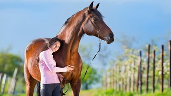 Los caballos entienden y saben aplicar los conocimientos (Istock)