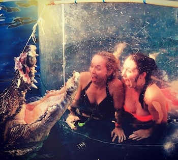 (CROCOSAURUS COVE/Instagram)