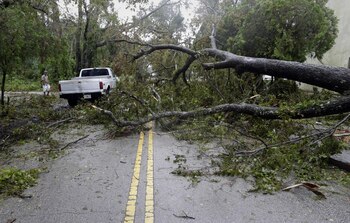 La caída de árboles fue la causa de varias muertes en Florida (AP Photo/Eric Gay)