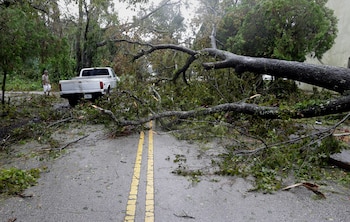 Una camioneta intenta avanzar entre los árboles caídos por efecto de los fuertes vientos en Daytona Beach (AP Photo/Eric Gay)