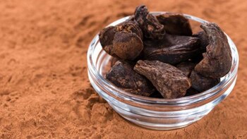 Las nueces de cola eran masticadas en la antigüedad como un estimulante natural (Istock)