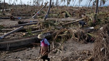En ciertas zonas, hasta el 80 por ciento de los cultivos fueron arrasados (Reuters)
