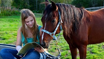 Los caballos también pueden “hablar” (Istock)