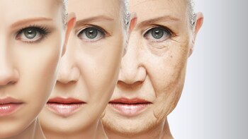 Los investigadores compararon la longitud de