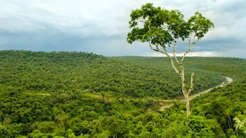 Hay más de cien saltos