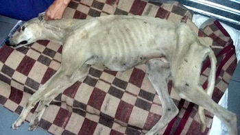 Lebrón fue rescatado luego de