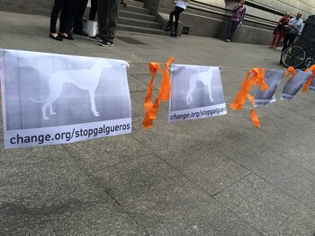 Esta tarde la Comisión Penal