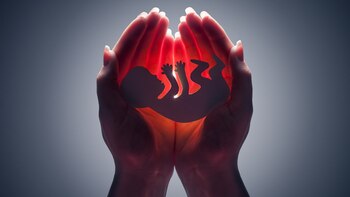 Se estima que unas 80