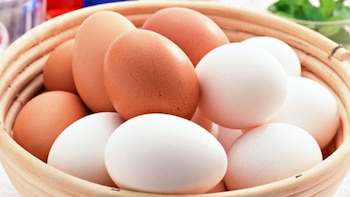 El color de la cáscara