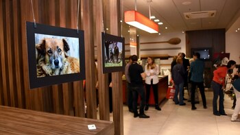 Muestra de arte solidario patrocinado