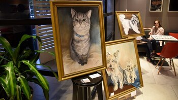 Todo lo recaudado se donó