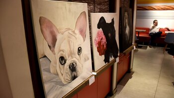 En la muestra se exhibieron