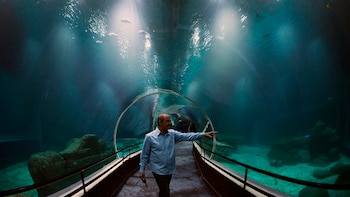 Uno de los túneles que