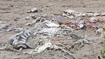 Se encontraron 4.600 fragmentos óseos