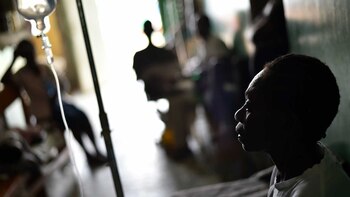 La OMS pidió tres días