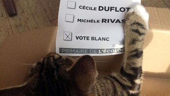 Para exponer al sistema electoral